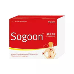 SOGOON 480 mg potahované tablety, 100 ks