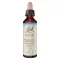 BACHBLÜTEN Čekankové kapky, 20 ml