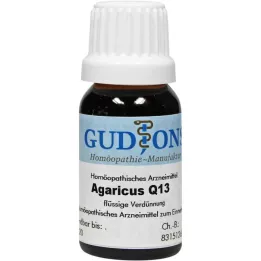 AGARICUS Roztok Q 13, 15 ml