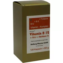 VITAMIN B12+B6+komplex kyseliny listové n tobolky, 120 ks