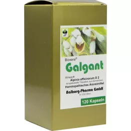 GALGANT Kapselln, 120 ks
