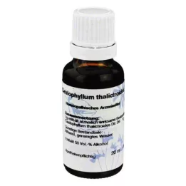 CAULOPHYLLUM D 6 Ředění, 20 ml