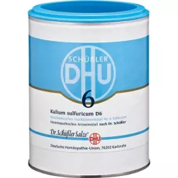 BIOCHEMIE DHU 6 tablet na sulfuricum D 6, 1000 ks