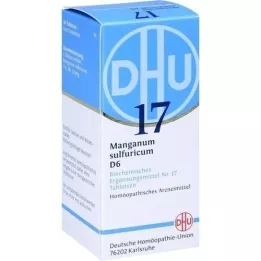BIOCHEMIE DHU 17 tablet manganum sulfuricum d 6, 80 ks