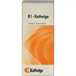 B1 tablety Kattwiga, 50 ks