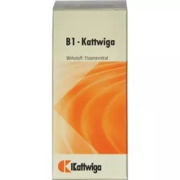 B1 tablety Kattwiga, 100 ks