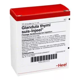 GLANDULA THYMI Suis Injeel Ampules, 10 ks