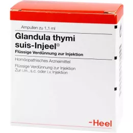 GLANDULA THYMI Suis Injeel Ampules, 100 ks