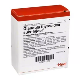 GLANDULA THYREOIDEA Suis Injeel Ampules, 10 ks