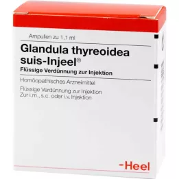 GLANDULA THYREOIDEA Suis Injeel Ampules, 100 ks