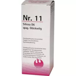 NR.11 SILICEA D 6 SPAG