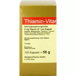 THIAMIN tobolky vitamin B1, 120 ks