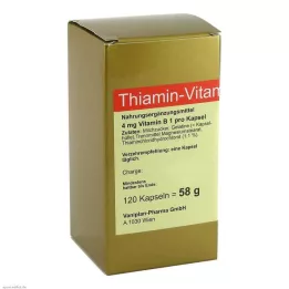 THIAMIN Vitamin B1 kapsle, 120 ks