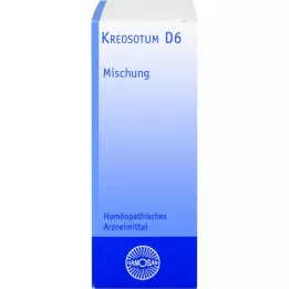 KREOSOTUM D 6 Ředění, 20 ml