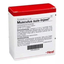 MUSCULUS SUIS Injeel ampules, 10 ks