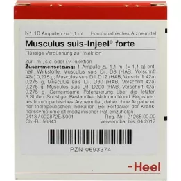 MUSCULUS SUIS Injeel Forte ampules, 10 ks