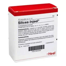 SILICEA INJEEL ampules, 10 ks