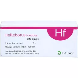 HELLEBORUS FOETIDUS Aquos. D 30 ampule, 8x1 ml