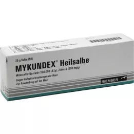 MYKUNDEX Léčivá masti, 25 g