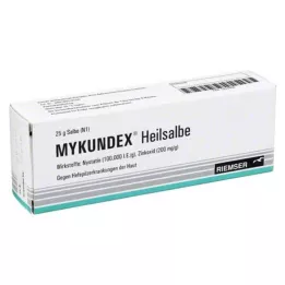 MYKUNDEX Léčivá masti, 25 g