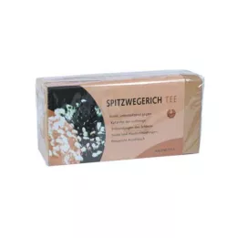 SPITZWEGERICHTEE filtrační sáček, 25 ks