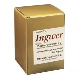 INGWER tobolky, 60 ks