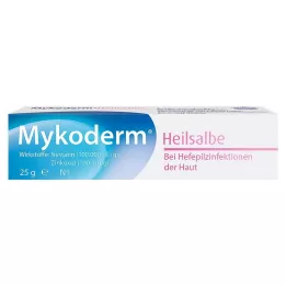 MYKODERM Hojivá mast Nystatin a oxid zinečnatý, 25 g