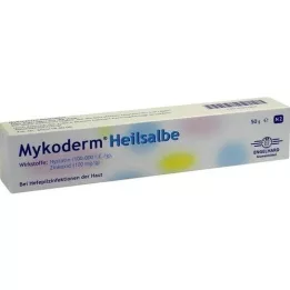 MYKODERM Léčivá masti nystatin a oxid zinečnatý, 50 g