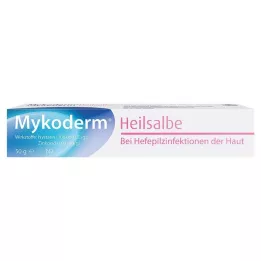 MYKODERM Hojivá mast Nystatin a oxid zinečnatý, 50 g
