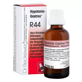 HYPOTONIE-GASTREU R44 mix, 22 ml