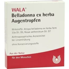 BELLADONNA EX HERBA Oční kapky, 5x0,5 ml