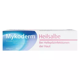 MYKODERM Hojivá mast Nystatin a oxid zinečnatý, 100 g