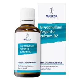 BRYOPHYLLUM ARGENTO kultum D 2 Ředění, 50 ml
