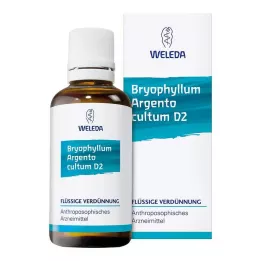 BRYOPHYLLUM ARGENTO kultum D 3 Ředění, 50 ml