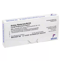 ARNICA PLANTA Tota Rh D 6 Ampules, 8x1 ml