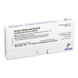 ARNICA PLANTA tota Rh D 20 ampule, 8X1 ml