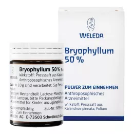 BRYOPHYLLUM 50% prášek pro perorální podání, 50 g