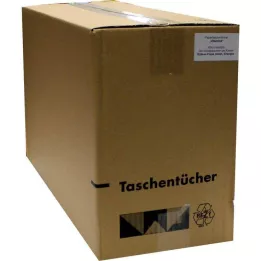 TASCHENTÜCHER Vitamíny motivu, 1 ks