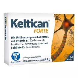 KELTICAN kapsle forte, 20 ks
