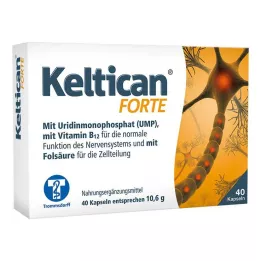 KELTICAN kapsle forte, 40 ks