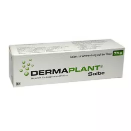 DERMAPLANT Mast, 75 g
