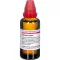 ECHINACEA HAB Externí, 50 ml