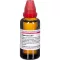 HYPERICUM EXTERN extrakt, 50 ml