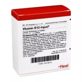 VITAMIN B12 INJEEL Ampules, 10 hodin