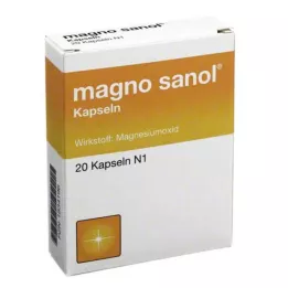 MAGNO SANOL kapsle, 20 ks