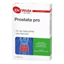 PROSTATA PRO Kapsle Dr.Wolz, 2X20 ks