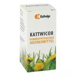 KATTWICOR tablety, 100 ks
