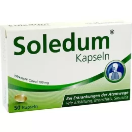 SOLEDUM 100 mg žaludečních rezistentních tobolek, 50 ks