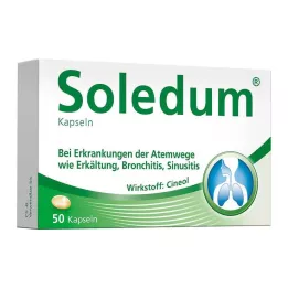 SOLEDUM 100 mg enterosolventní tobolky, 50 ks