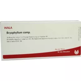 BRYOPHYLLUM COMP.Ampule, 10X1 ml